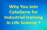 Why You Join CytoGene for Industrial training project  in life Science