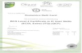 BCS Level 2 Certificate in IT User Skills