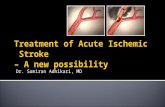 Treatment of acute stroke with neuroprotective agents