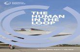 The Human in the Loop
