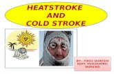 Heat and cold stroke
