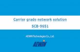 Carrier grade network solution   scb9651 20130226