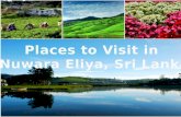 Places to Visit in Nuwara Eliya, Sri Lanka