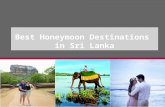 Best Honeymoon Destinations in Sri Lanka