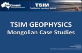 09.04-05.2014, PRESENTATION. TSIM Geophysics Mongolian Case Studies, Mr. Adrian Buck