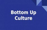 Bottom up culture (1)