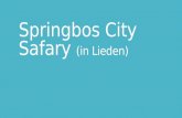 Springbos City Safary (in Lieden)