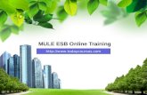 mule esb training | certified mulesoft training | certfied mule training | mule esb course