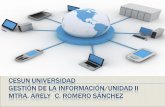 Gestión de la información  Mtra. Arely Carolina Romero Sánchez
