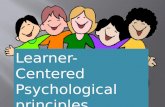Learner-Centered Psychological Principles (Individual Differences Factors)