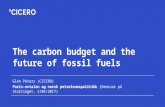 The carbon budget and the future of fossil fuels