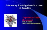 Jaundice - Liver Function Tests