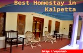 Pillowrocks Homestay - The Best Homestay in Kalpetta