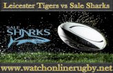 watch Tigers vs Sale Sharks live rugby online
