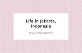 Teenager’s life in indonesia