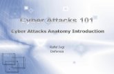 Cyber attacks 101