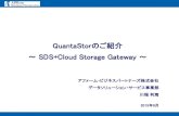 SDS+Cloud storage　gateway -　Quantastor