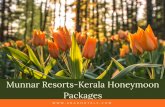 Kerala Honeymoon Packages-Munnar Resorts-Abad Hotels