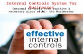 Internal Control System Services Bethesda MD