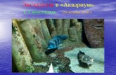 экскурсия в аквариум город севастополь