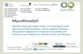 MycoRhizaSoil Spring Meeting 2016