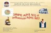 AH1N1   11011