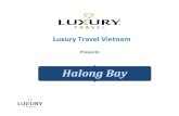 Vietnam vacation packages to halong bay