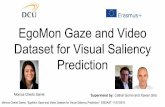 EgoMon Gaze and Video Dataset for Visual Saliency Prediction
