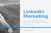 LinkedIn Nurturing Campaign and Content Marketing