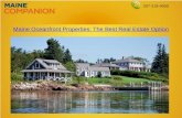 Maine Oceanfront Properties: The Best Real Estate Option