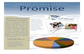 ad for lansing promise bond election 10192015