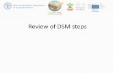 Review of Digital Soil Mapping steps