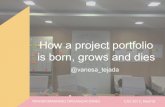 How a project portfolio is born, grows and dies