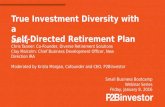 True Investment Diversity with a Self-Directed IRA