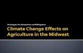Climate Change Effects on Agriculture in the Midwest
