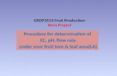 Term Fruit Project By Latifa Al-Kharusi