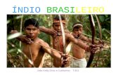 O índio brasileiro   julia kelly diniz e catharina