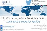 IDC Vendor Briefing: What's Hot, What's Not & What's Next for IoT - and what that means for Vendors - Charles Reed Anderson @CRASingapore