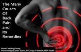 The Many Causes of Back Pain and its Remedies