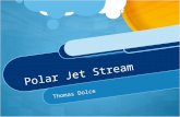 Video solution Polar Jet Stream