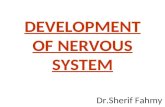 Development of Nervous System (Special Embryology)