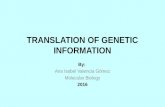 Translation of genetic information.