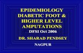 1362396398 epidemiology of df & higher level amputations