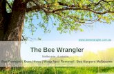 Bee removal | wasp removal melbourne by beewrangler.com.au