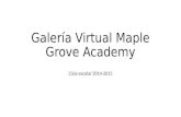 Galería virtual maple grove academy