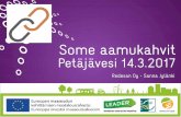 Some aamu Petäjävesi, AktiiviPalma hanke 14.3.2017