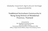 Traditional Sericulture Community in Nong Sung District of Mukdahan Province, Thailand