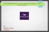 3D Lash Extensions - Eagle Wing Lashes