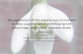 The Experiences of Mothers as They Suppress Lactation Following Late Miscarriage, Stillbirth or Neonatal Death' (Presentation by Denise McGuiness from Maternity and Neonatal Network