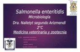 Salmonella enteritidis